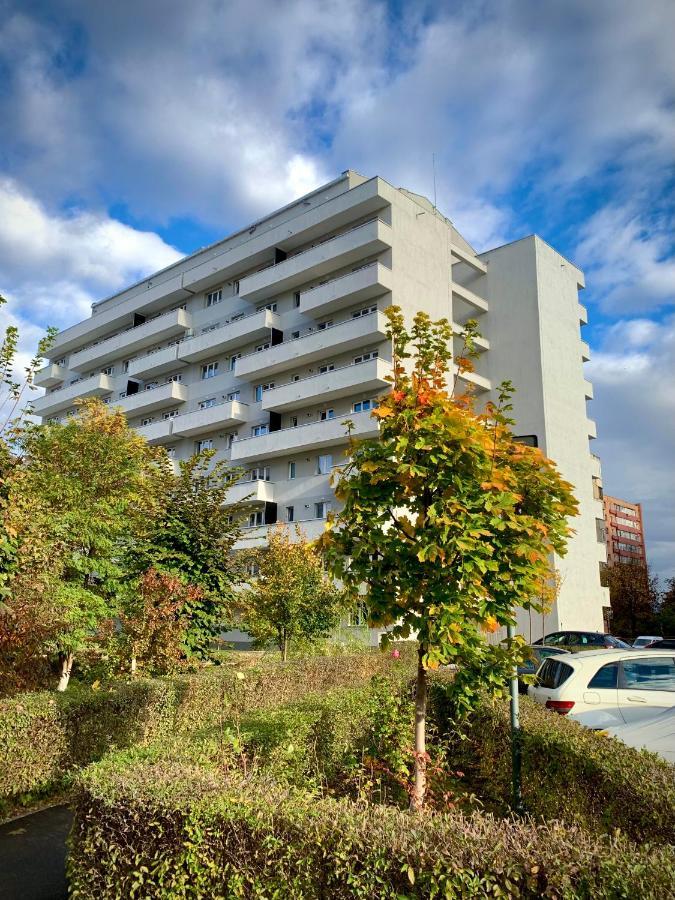 Blue Mountain Residence Braşov Extérieur photo